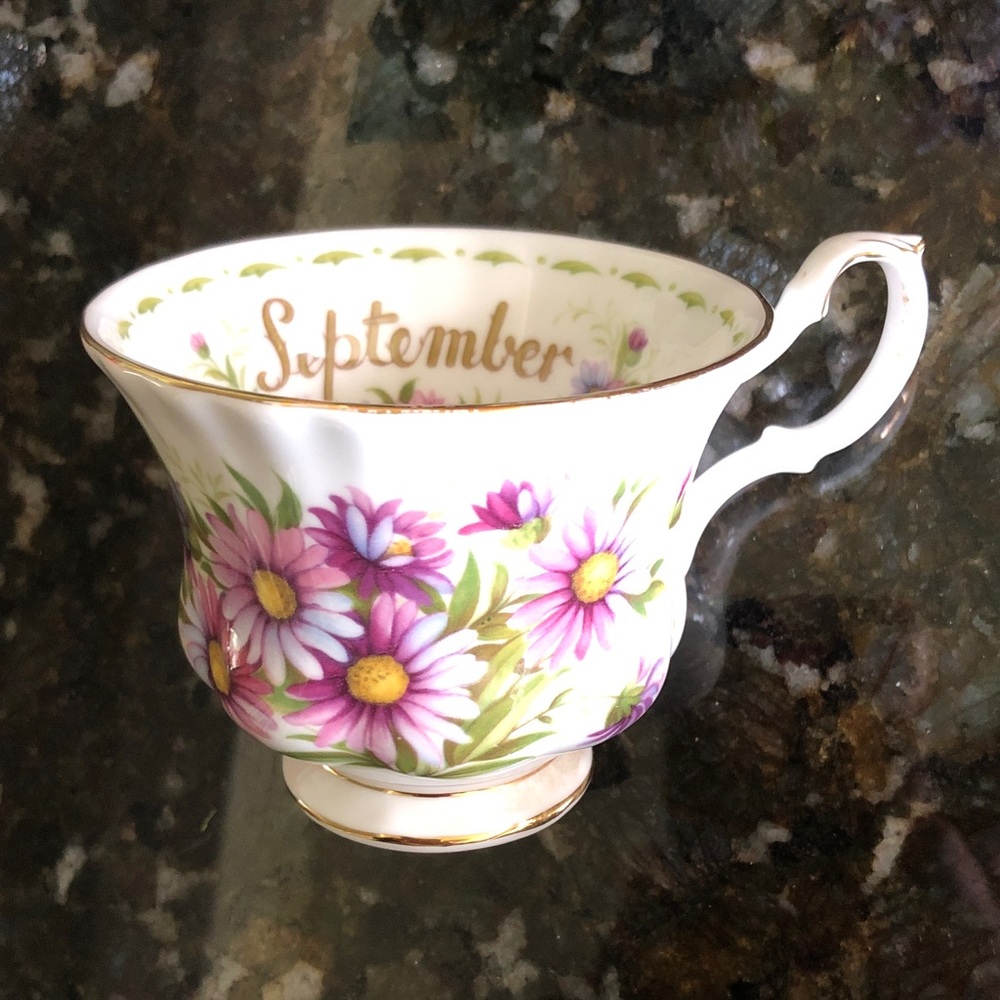 September Royal Albert Teacup Michaelmas Daisy Bone China England Flower Series